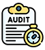 IRS Audit